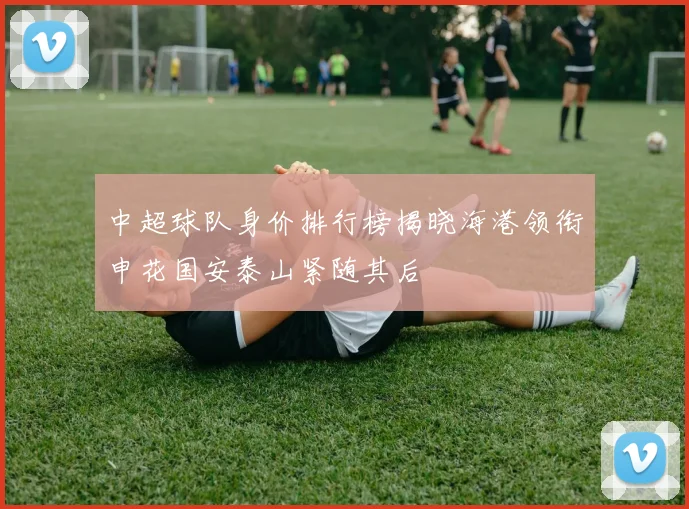 中超球队身价排行榜揭晓海港领衔申花国安泰山紧随其后
