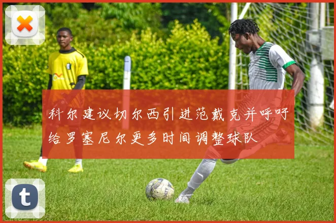 科尔建议切尔西引进范戴克并呼吁给罗塞尼尔更多时间调整球队